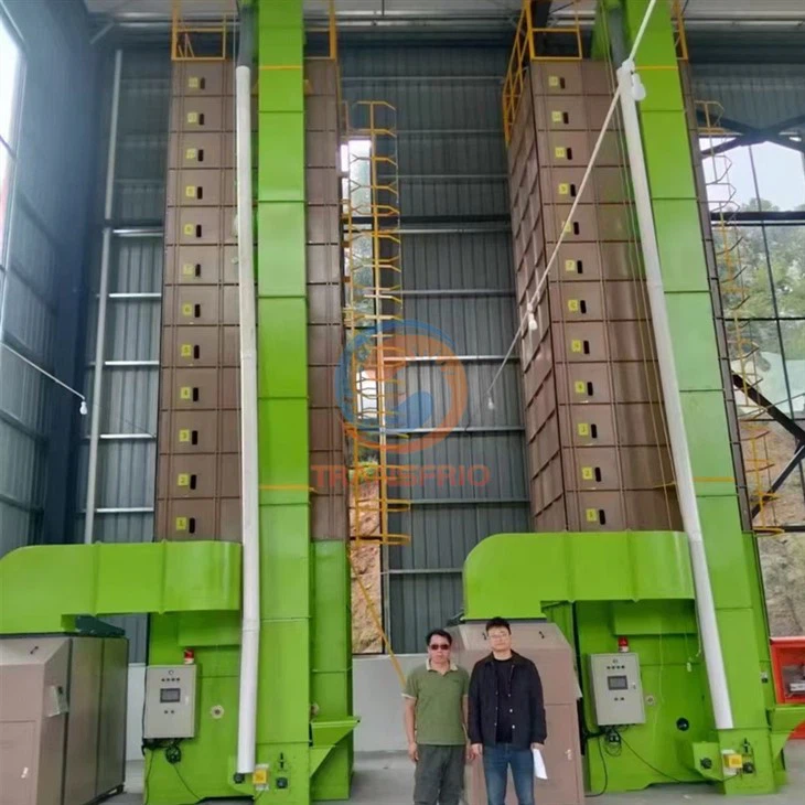 Grain Drying Systems